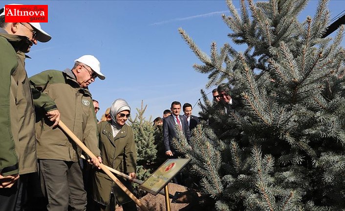 Cumhurbaşkanı Erdoğan: Orman varlığımızı 17 yılda 22,6 milyon hektara çıkardık