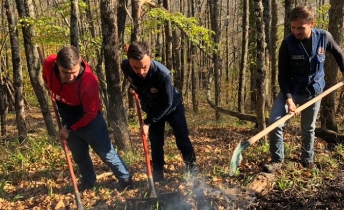 GÜNCELLEME - Kastamonu'daki orman yangını