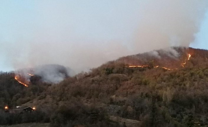 Kastamonu'da orman yangını