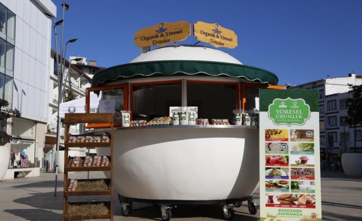 Ordu'da arı sütünün satışına başlandı