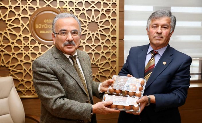Ordu'da yılda 3 milyon yumurta üretiliyor