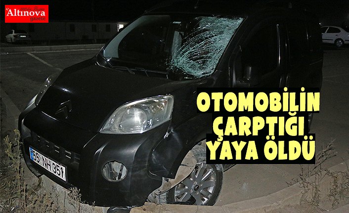 Otomobilin çarptığı yaya öldü