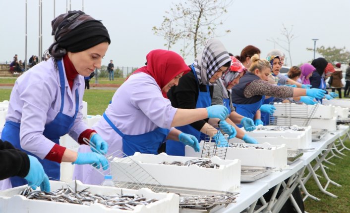 Trabzon'daki hamsi şöleninde 3 ton hamsi tüketildi