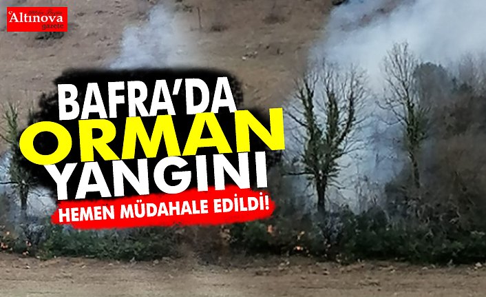 BAFRA’DA ORMANLIK ALANDA YANGIN