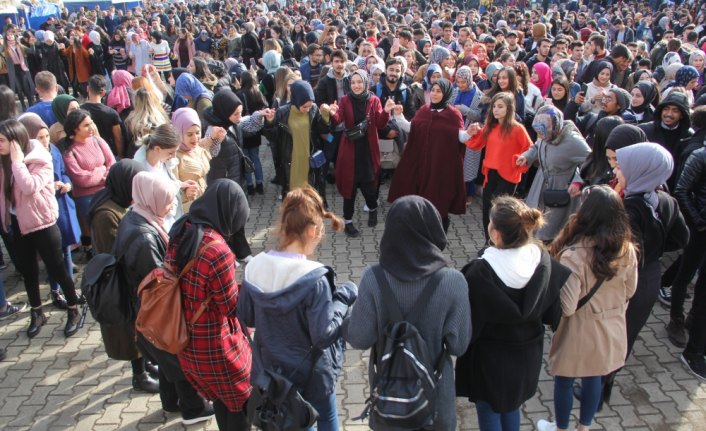 Giresun'da düzenlenen hamsi şenliğinde 500 kilogram balık dağıtıldı