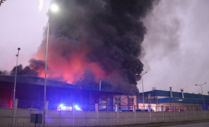 GÜNCELLEME - Düzce'de fabrikada çıkan yangın söndürülmeye çalışılıyor