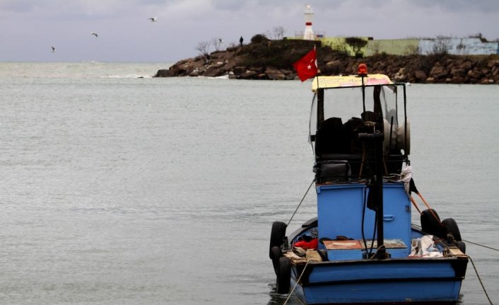 Hamsi Batı Karadeniz'i terk ediyor
