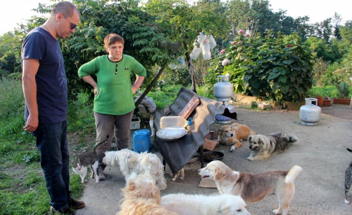 Hayatını sokak hayvanlarına adadı