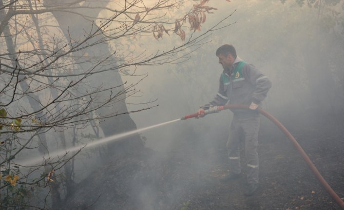 İnebolu'da orman yangını