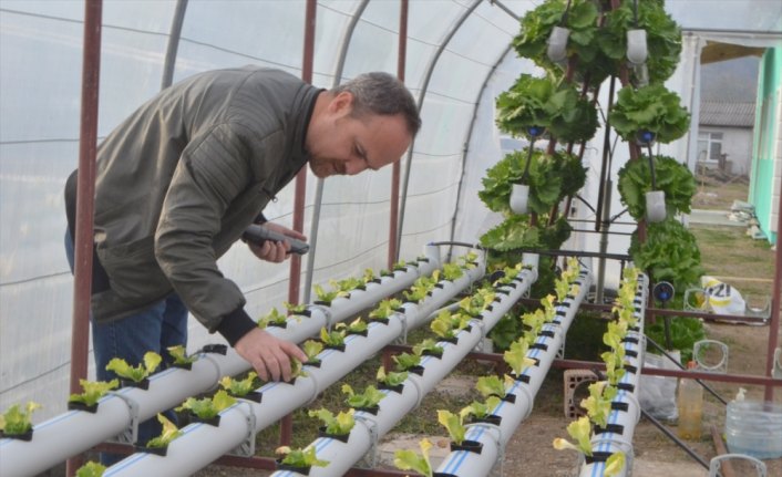 Kurduğu serada topraksız tarımla marul yetiştiriyor