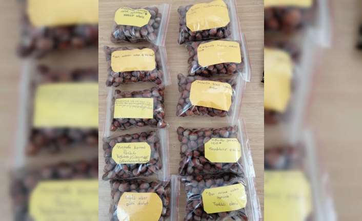 Öğrencilerden Mehmetçiğe fındık ve mektuplu destek