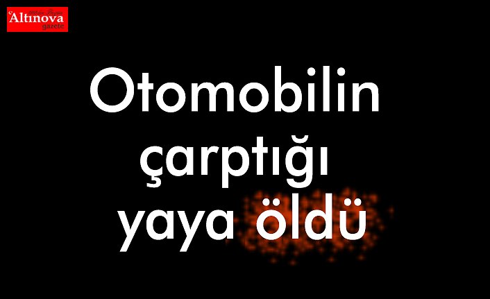 Otomobilin çarptığı yaya öldü