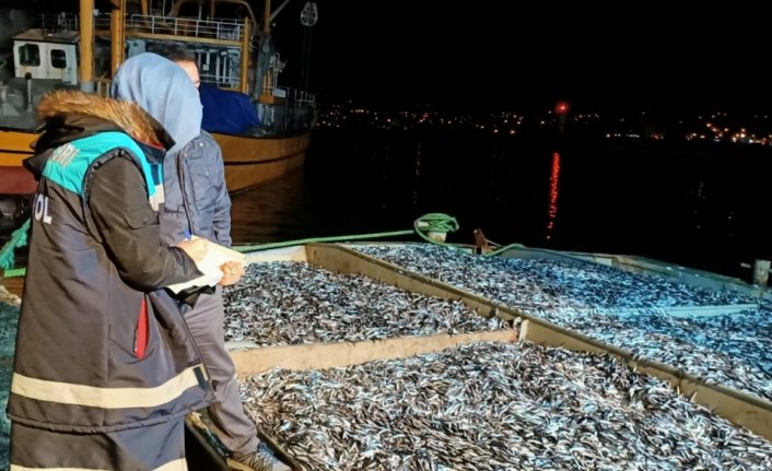 Rize'de 25 ton küçük boy balığa el konuldu