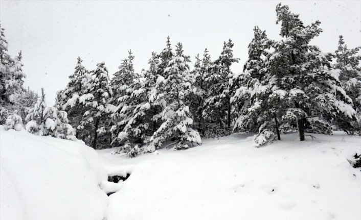Tokat'ta kar yağışı yüksek kesimlerde etkili oldu