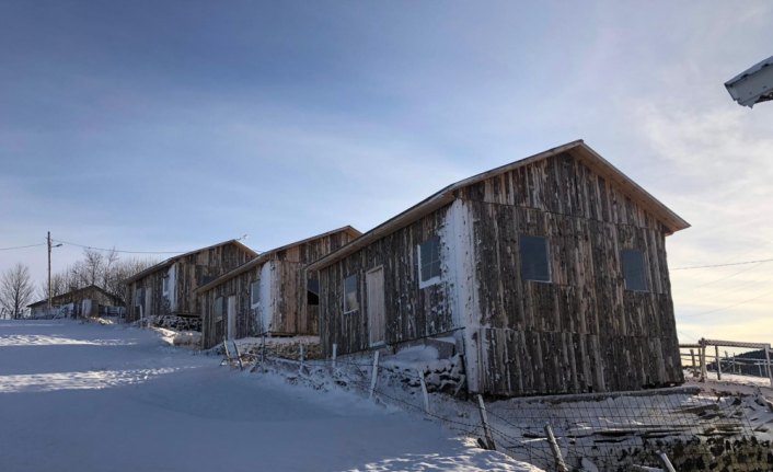 Trabzon'un yaylalarında kaçak yapılan 8 bina yıkıldı