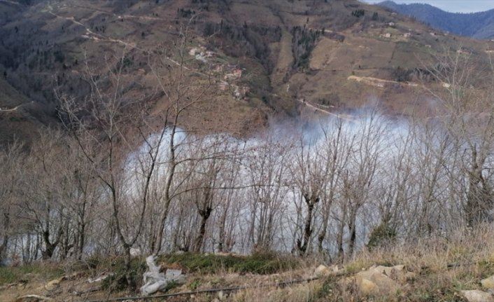 Yağlıdere'deki 4 örtü yangınından 3'ü kontrol altına alındı