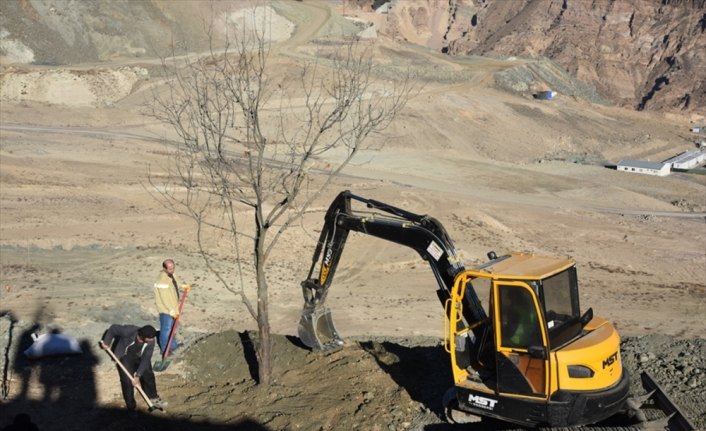 Yeni Yusufeli yerleşim yeri ağaçlandırılıyor