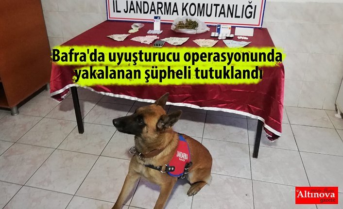 Bafra'da uyuşturucu operasyonunda yakalanan şüpheli tutuklandı