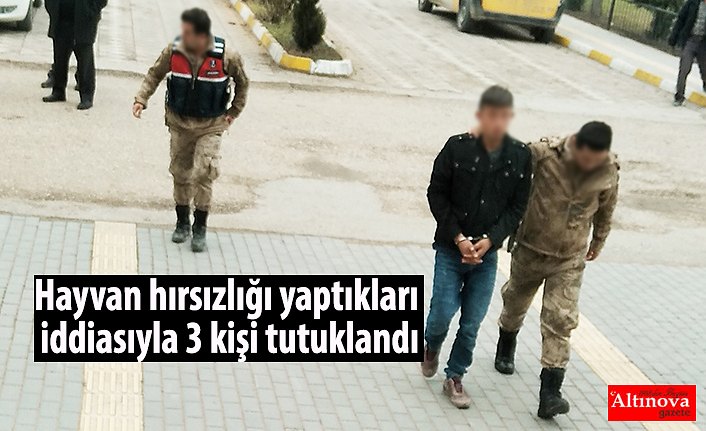 Hayvan hırsızlığı yaptıkları iddiasıyla 3 kişi tutuklandı