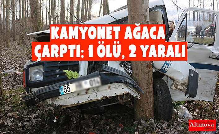 Kamyonet ağaca çarptı: 1 ölü, 2 yaralı