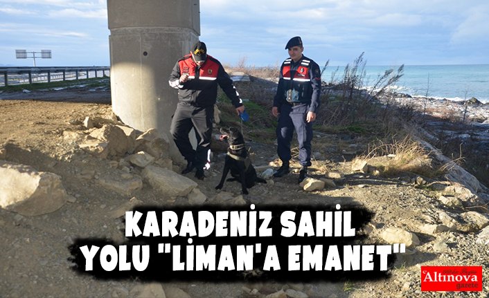 Karadeniz Sahil Yolu "Liman'a Emanet"