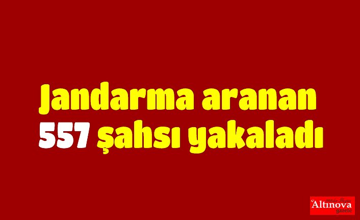 Jandarma aranan 557 şahsı yakaladı