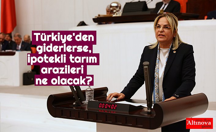 Türkiye'den giderlerse, ipotekli tarım arazileri ne olacak?