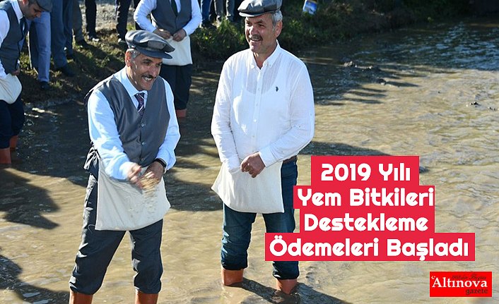2019 Yılı Yem Bitkileri Destekleme Ödemeleri Başladı