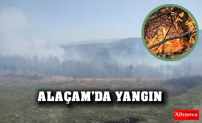 Anız Yangını Ormana Sıçradı