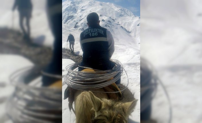 Dicle Elektrik, elektriksiz kalan 8 aileye katır sırtında ekip gönderdi