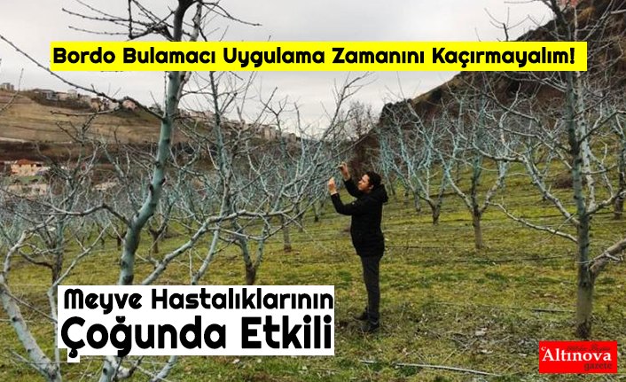 Meyve Hastalıklarının Çoğunda Etkili