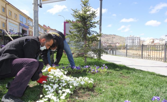 Bayburt'ta park ve bahçelere 50 bin çiçek dikildi