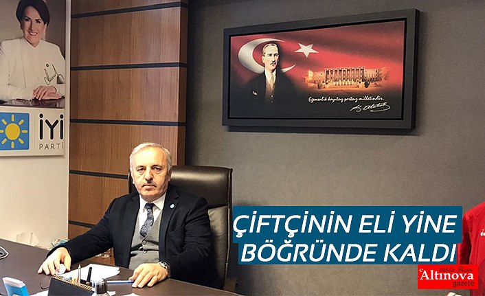 ÇİFTÇİNİN ELİ YİNE BÖĞRÜNDE KALDI