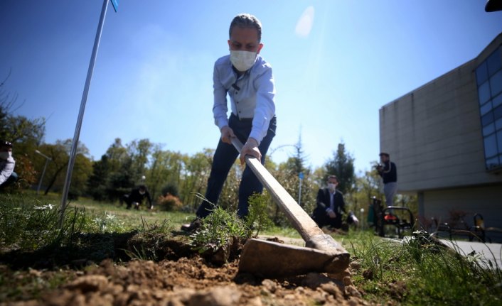 Düzce'de sağlık çalışanları için hastane bahçesine 81 fidan dikildi