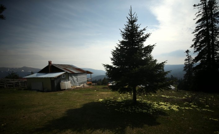 Kovid-19 salgını sürecinde doğayla iç içe yaşıyor