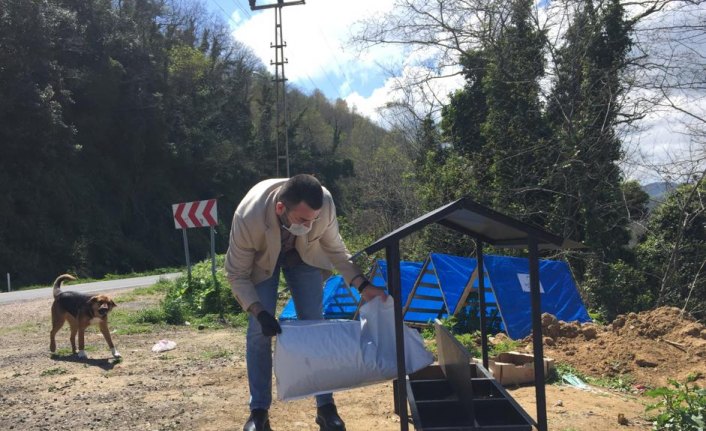 Ordu'da sokak hayvanlarına mama desteği sürüyor