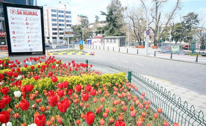 Orta ve Doğu Karadeniz'de sokaklar sakin