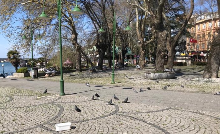 Sakarya, Zonguldak ve Kocaeli'de sokağa çıkma kısıtlamasının ikinci gününde cadde ve sokaklar boş kaldı