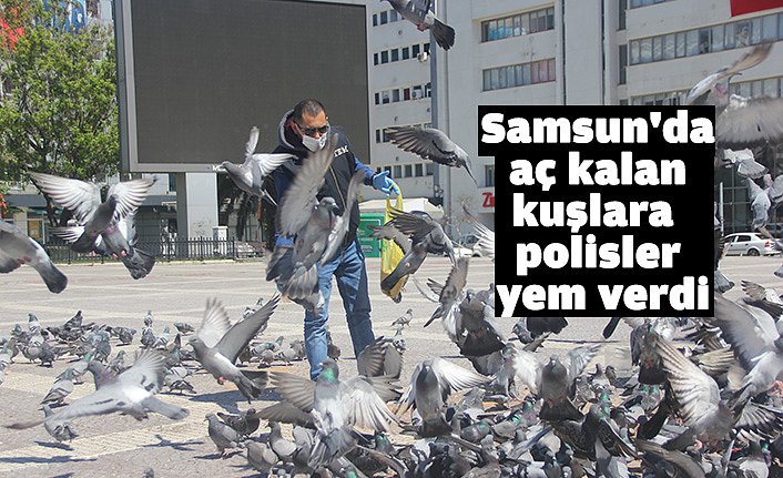 Samsun'da aç kalan kuşlara polisler yem verdi
