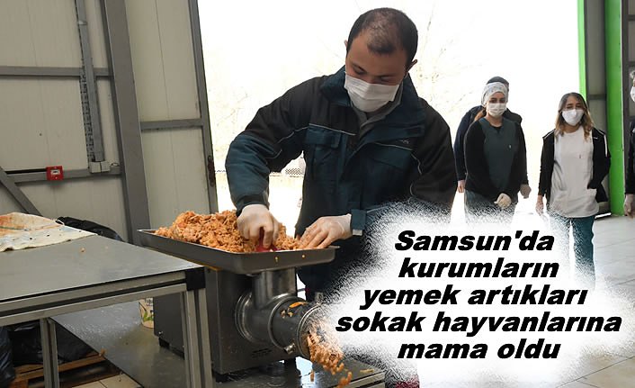 Samsun'da kurumların yemek artıkları sokak hayvanlarına mama oldu