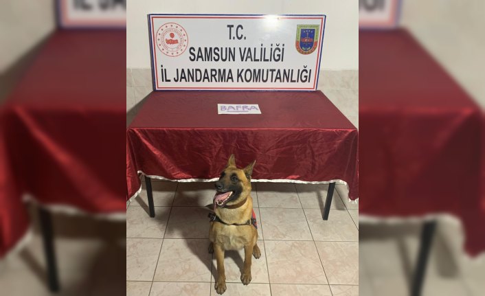 Samsun'da uyuşturucu operasyonunda 3 kişi yakalandı