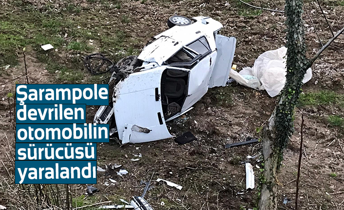 Şarampole devrilen otomobilin sürücüsü yaralandı