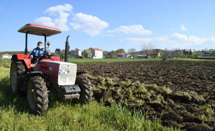 Zabıta, sokağa çıkma yasağı nedeniyle dışarı çıkamayan çiftçinin tarlasını sürdü