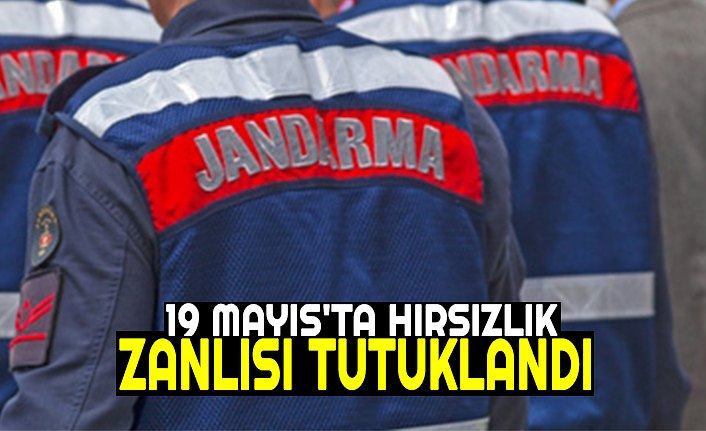 19 MAYIS'TA HIRSIZLIK ZANLISI TUTUKLANDI