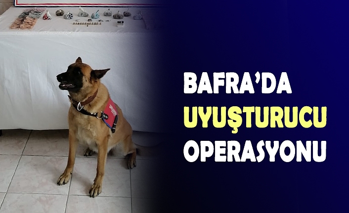 BAFRA’DA UYUŞTURUCU OPERASYONU