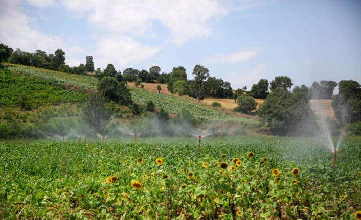 DSİ'nin sulama sezonuyla tarım arazileri suya kavuştu