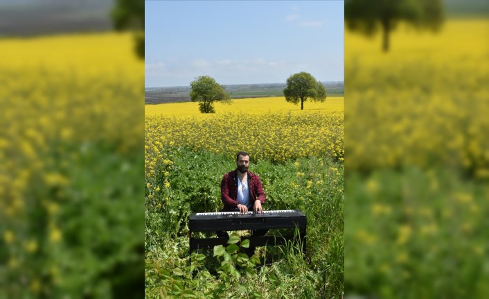 İlkbaharın sarıya boyadığı kanola tarlasında piyano keyfi