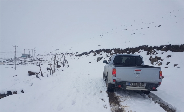 Kar yağışı nedeniyle yaylada mahsur kalan çobanlarla sürü kurtarıldı