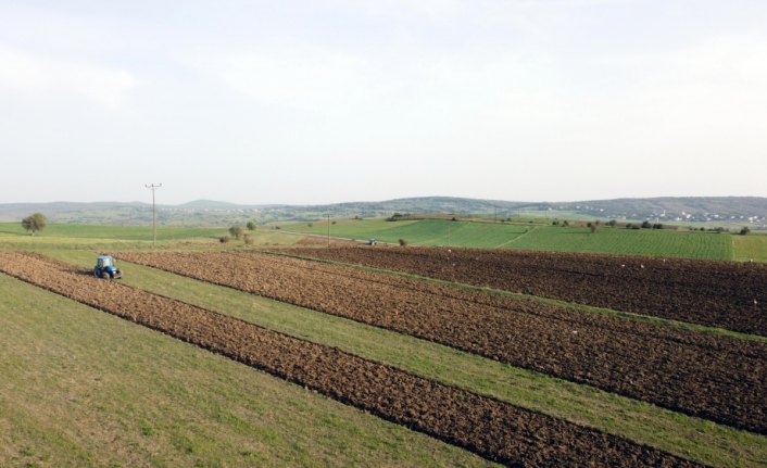 Karabük'te tarımsal üretimde yüzde 20 artış bekleniyor