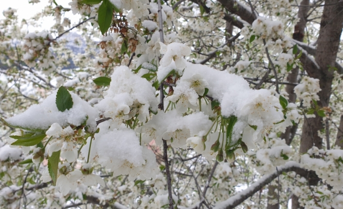 Karadeniz'in yüksek kesimlerine mayıs karı yağdı